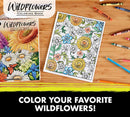 Crayola Wildflowers Colouring Book