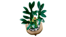 LEGO Botanicals Lucky Bamboo 10344