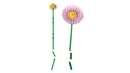 LEGO Botanicals Petite Sunny Bouquet