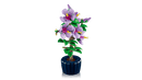 LEGO Botanical Collection Hibiscus