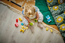 LEGO Duplo 3 In 1 My First Creative Cute Pets