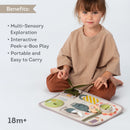 Taf Toys Snap 'N Learn Board