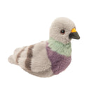 Douglas Paker Pigeon