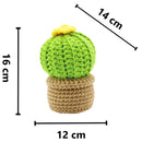 Small Cactus DIY Crochet Kit