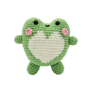 Froggy DIY Crochet Kit