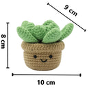 Succulent DIY Crochet Kit