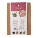 Succulent DIY Crochet Kit