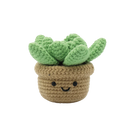 Succulent DIY Crochet Kit