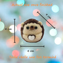 Hedgehog DIY Needle Felting Kit