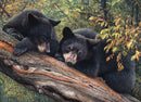 Cobble Hill 1000 Piece Puzzle Mom's Awaiting