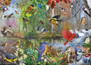Cobble Hill 1000 Piece Puzzle Birds Of The Season