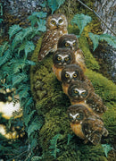 Cobble Hill 1000 Piece Puzzle Family Tree