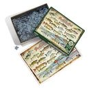 Cobble Hill 1000 Piece Puzzle Freshwater Fish Of North America