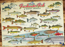 Cobble Hill 1000 Piece Puzzle Freshwater Fish Of North America