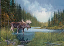 Cobble Hill 1000 Piece Puzzle Moose Lake