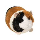 Douglas Guinea Pig Pippin
