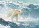 Cobble Hill 500 Piece Puzzle Robert Bateman Print Salmon Watch- Spirit Bear