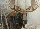 Cobble Hill 500 Piece Puzzle Robert Bateman Print Bull Moose