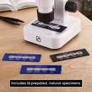 Thames & Kosmos Digital Microscope