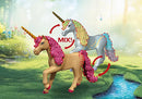 Playmobil Fairies Day Trip