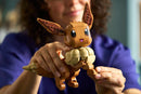 LEGO Pokemon Eevee