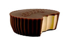 Reese's Peanut Butter Squishi Toy