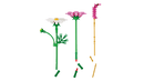 LEGO Botanicals Cosmos Flowers