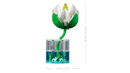LEGO Botanicals Water Lilies