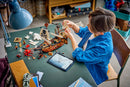 LEGO Creator Iconic Pirate Ship