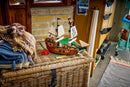 LEGO Creator Iconic Pirate Ship
