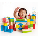 Hape Maple Wooden Building Blocks