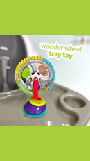 Sassy Baby Wonder Wheel