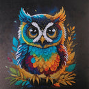 Crystal Art Medium Framed Kit Owl
