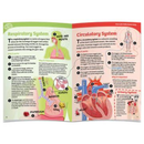 Thames & Kosmos Ooze Labs: Visible Human Body with Squishable Organs