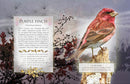 The Little Book Of Woodland Bird Songs