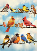 Cobble Hill 35 Piece Tray Puzzle Blue Sky Birds