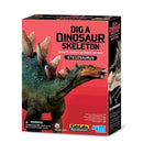 4M Dig  A Dinosaur Skeleton Stegosaurus