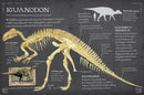 Dinosaur Bones: And What They Tell Us