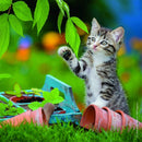 Ravensburger 3 X 49 Pieces Cuddly Kittens